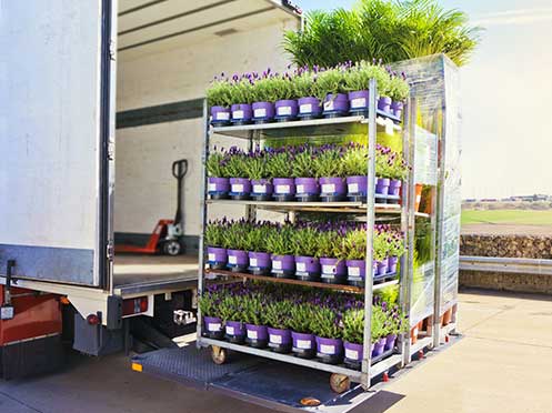 Transport plantes et fleurs coupées : comment faire ?
