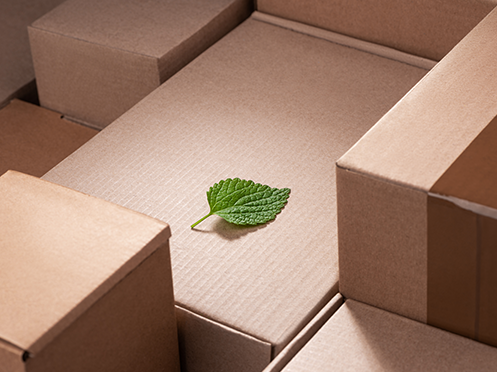 Emballage écologique : les atouts du carton