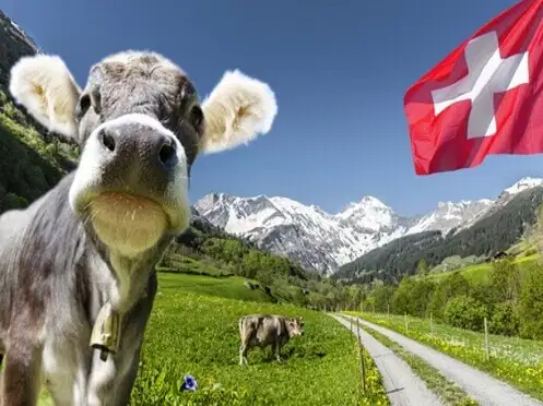 Envoyer des produits en Suisse